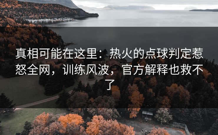 真相可能在这里:热火的点球判定惹怒全网,训练风波,官方解释也救不了