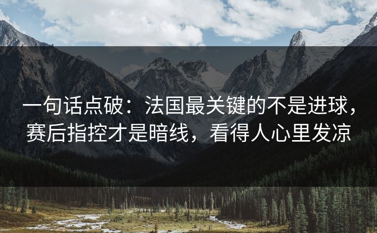 一句话点破:法国最关键的不是进球,赛后指控才是暗线,看得人心里发凉